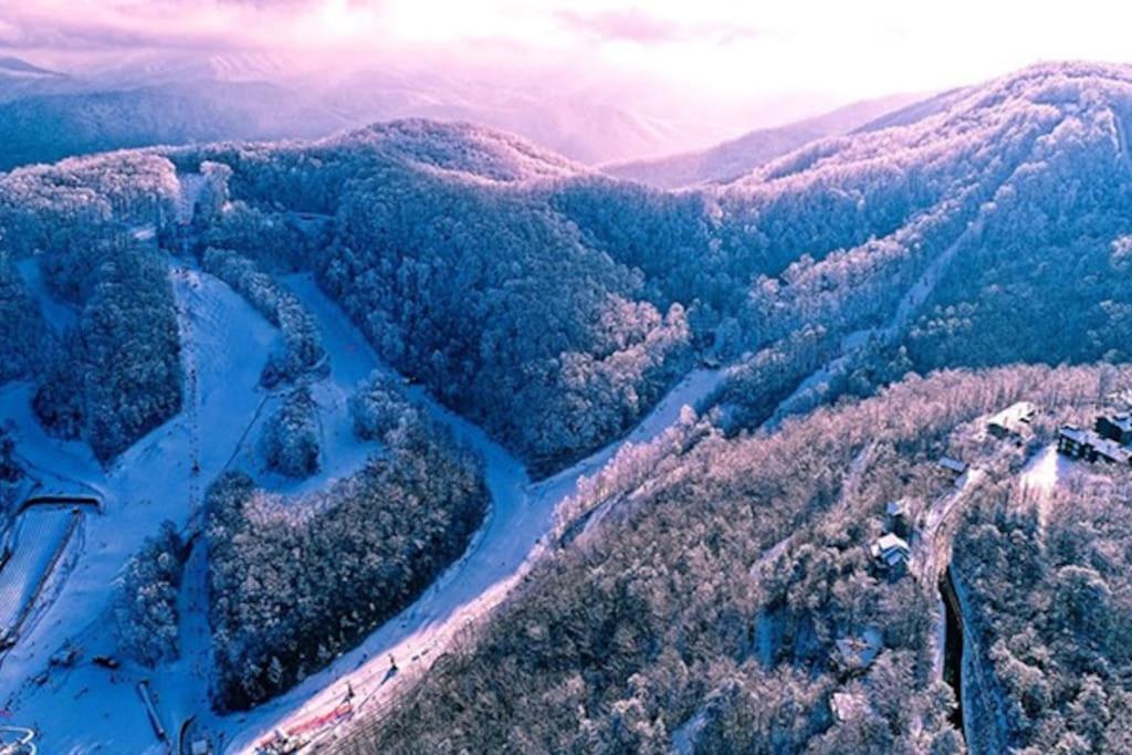 Private Smoky Mountain Luxury Log Home With 2 Fireplaces, Hot Tub & Community Pool Sevierville Extérieur photo